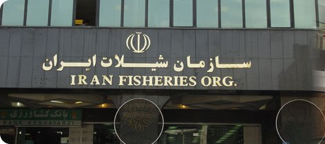 سازمان شیلات ایران
